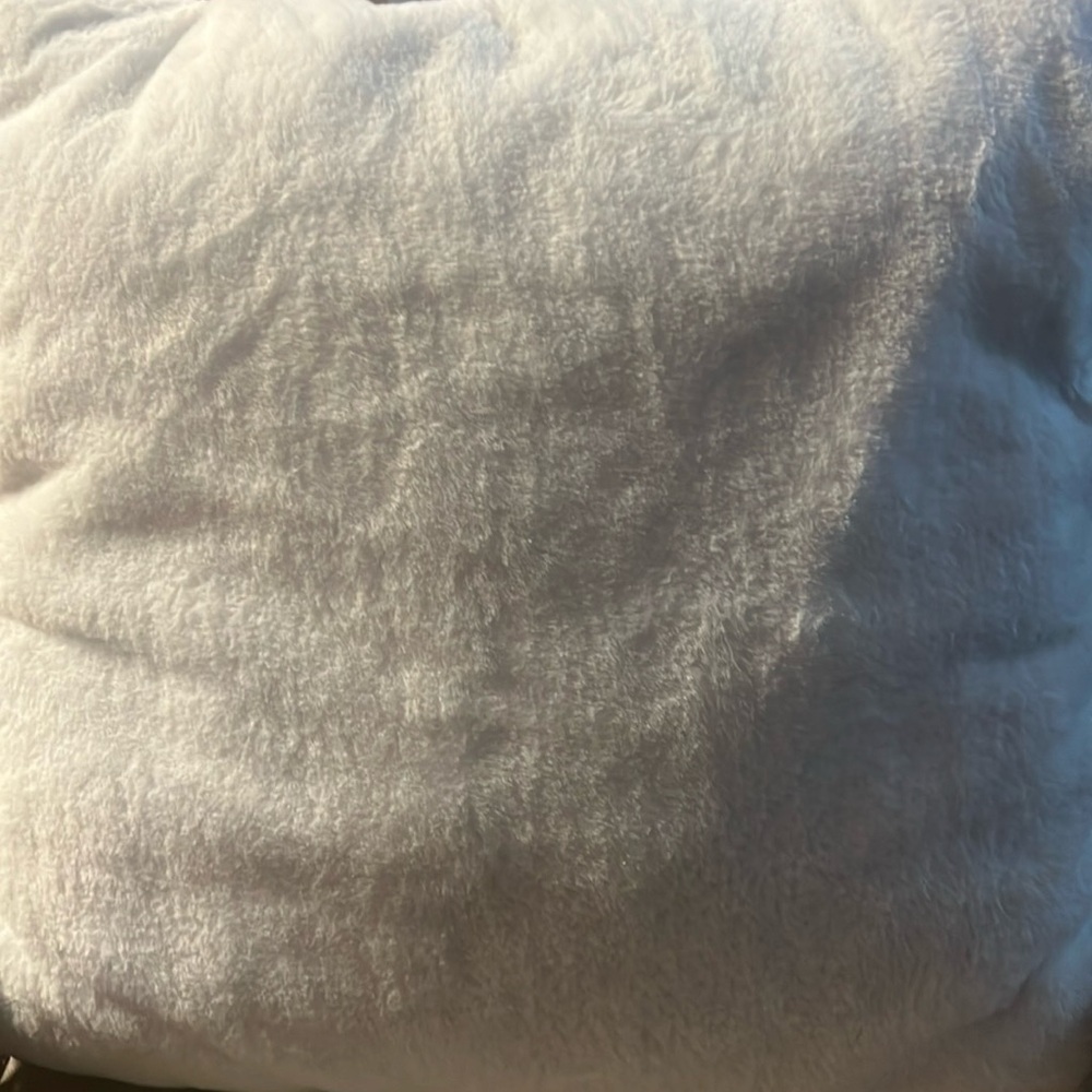 New Dream Home Faux Fur Pillow White NWT Unique